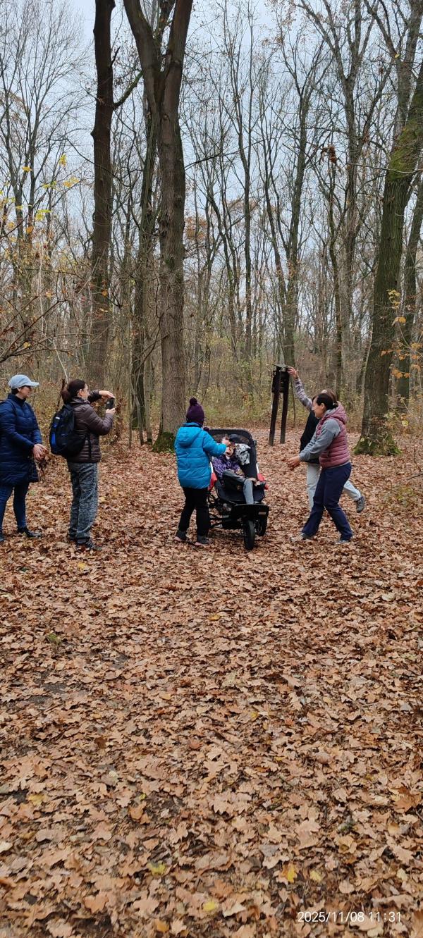 🤍 SEGÍTSÉG: Miért fejleszt különösen hatékonyan egy erdei gyerektábor?