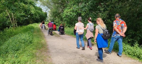 🤍 SEGÍTSÉG: Miért különösen hasznos az erdőfürdő időseknek és demenciával élőknek?