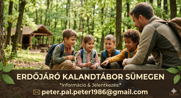 🌲 ÉLMÉNY: Erdőjáró Kalandtábor Sümegen – Igazi élmények a képernyő helyett (2026 Nyár)